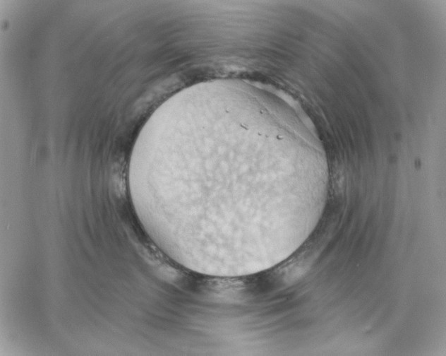 X0000062890719200602031807