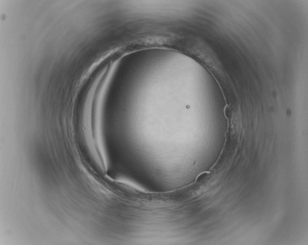 X0000062890722200602031806