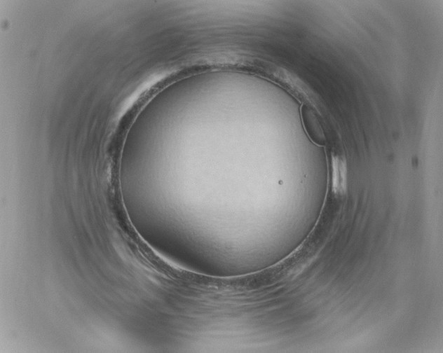 X0000062890723200602031806