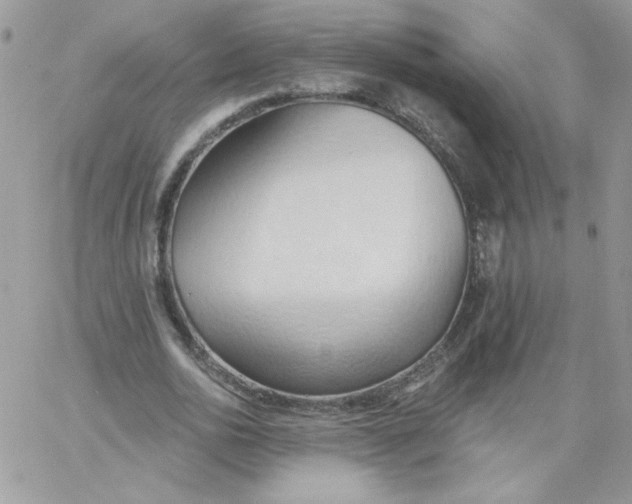 X0000062890726200602031806