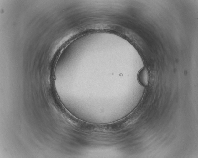 X0000062890727200602031806