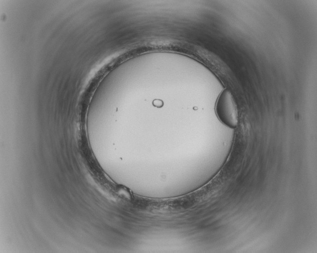 X0000062890728200602031806