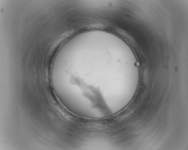 X0000062890729200602031806