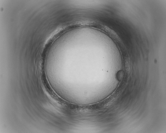 X0000062890730200602031806