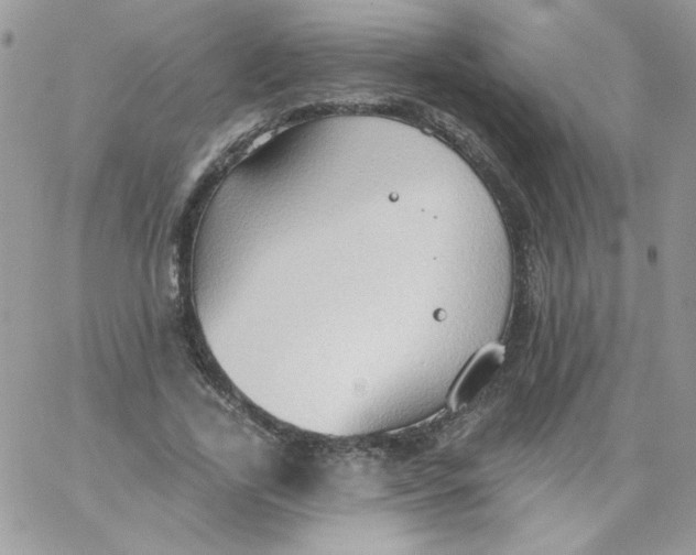 X0000062890731200602031806