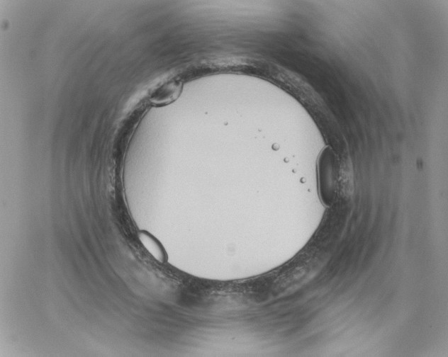 X0000062890732200602031806