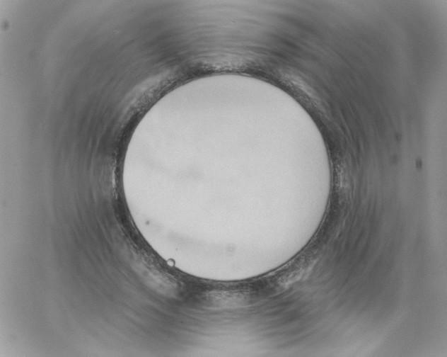 X0000062890733200602031806