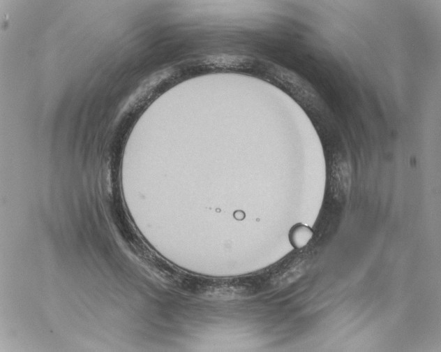 X0000062890734200602031806