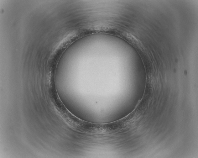 X0000062890735200602031806