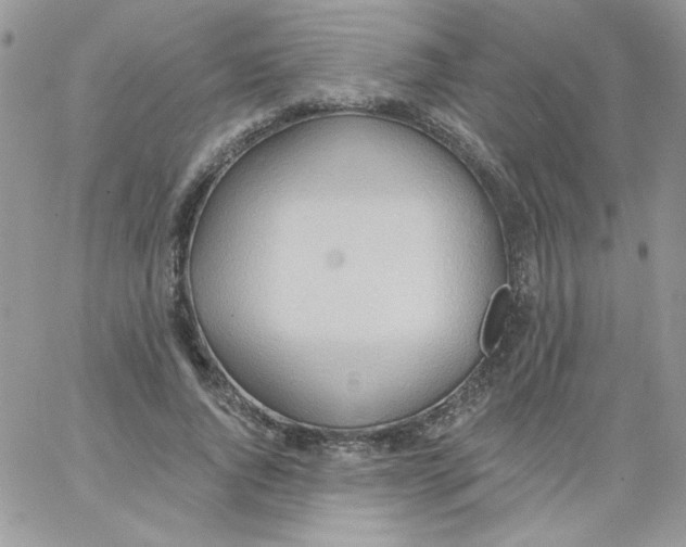 X0000062890736200602031806