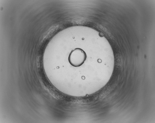 X0000062890738200602031806