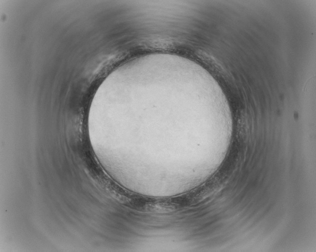 X0000062890739200602031806