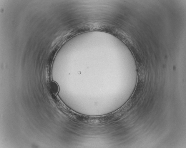 X0000062890740200602031806