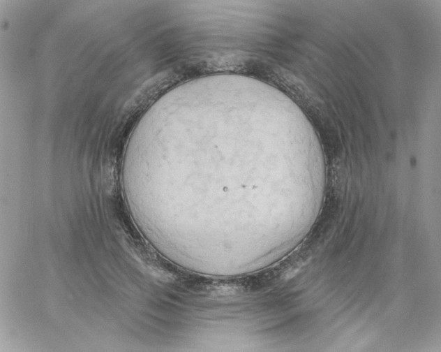 X0000062890741200602031806