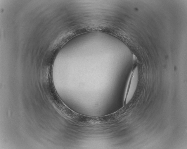 X0000062890742200602031806