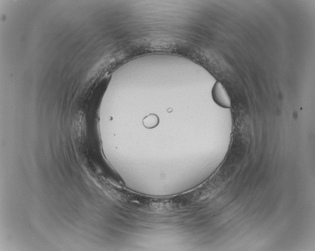 X0000062890744200602031807