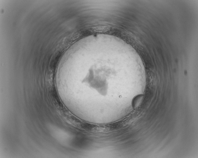 X0000062890745200602031807