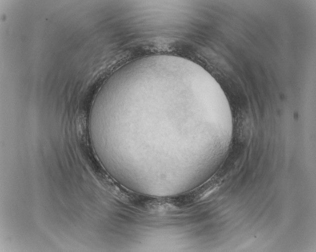 X0000062890747200602031807