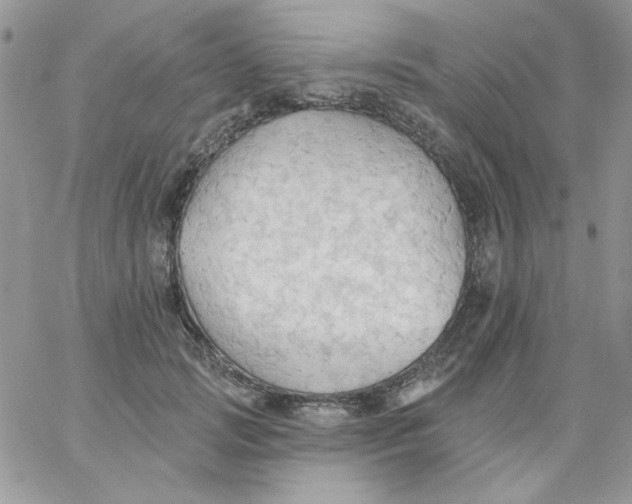 X0000062890749200602031807