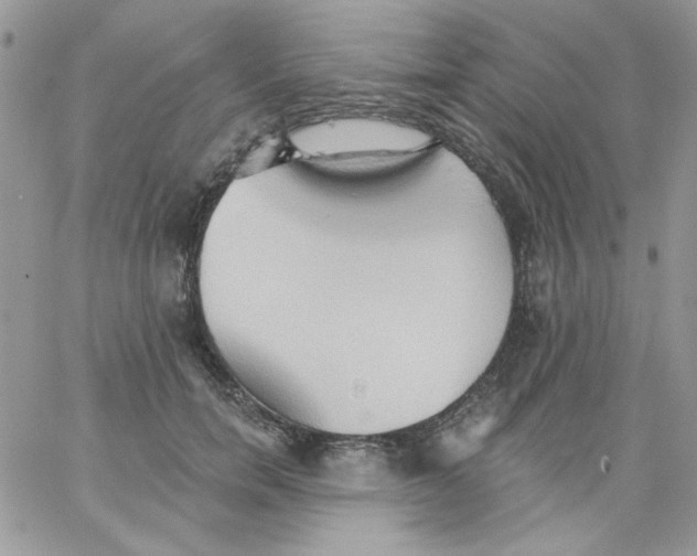 X0000062890750200602031807