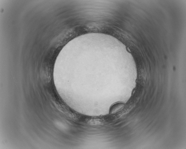 X0000062890751200602031807