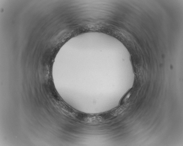 X0000062890752200602031807