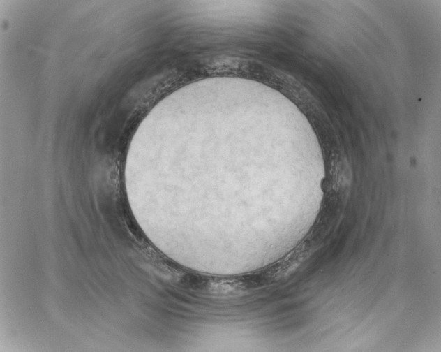 X0000062890753200602031807