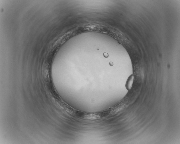 X0000062890754200602031807