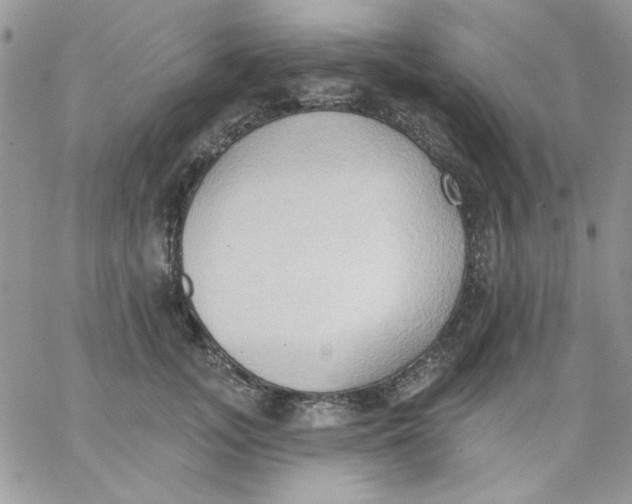 X0000062890755200602031807