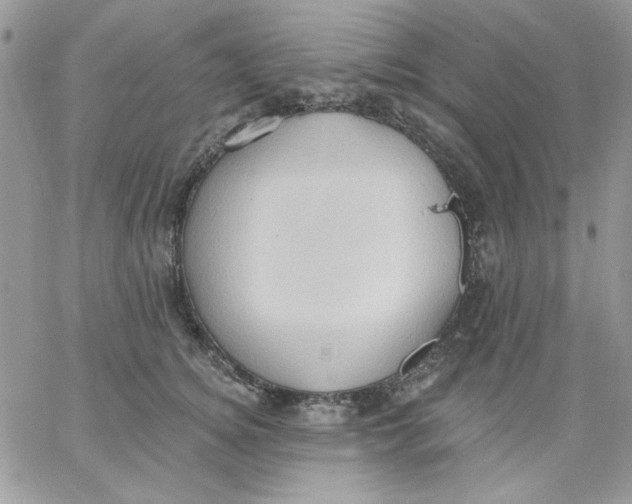 X0000062890756200602031807