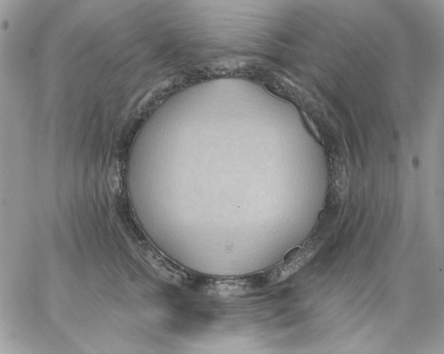 X0000062890758200602031807