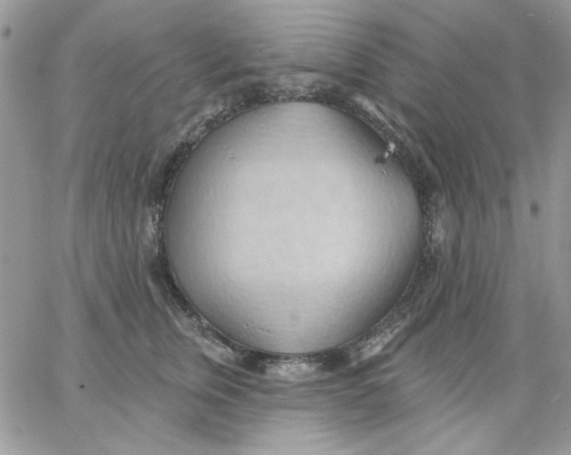 X0000062890759200602031807