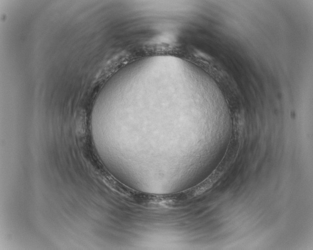 X0000062890760200602031807