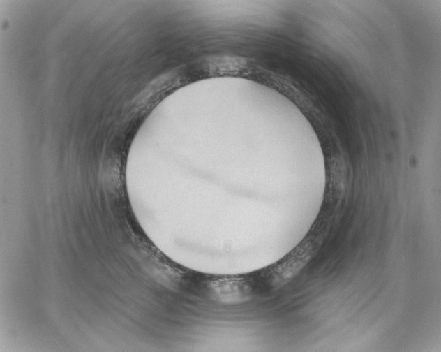 X0000062890761200602031807