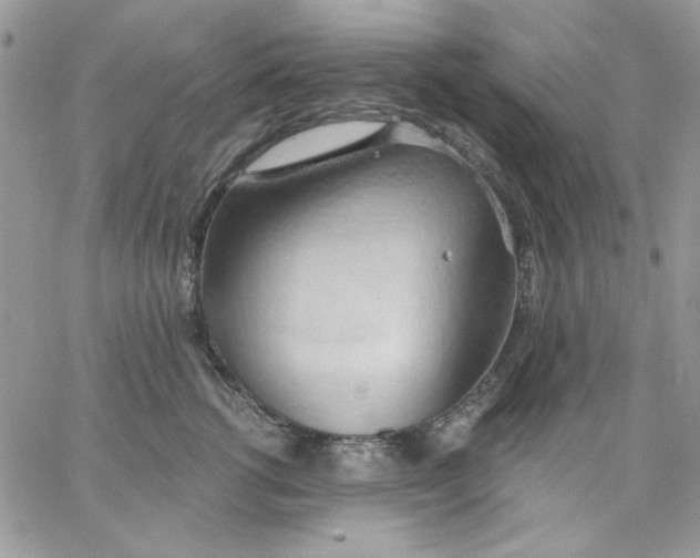 X0000062890762200602031807