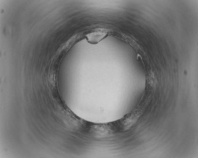 X0000062890763200602031807