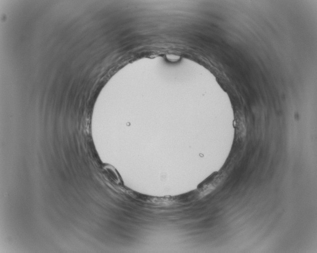 X0000062890766200602031807