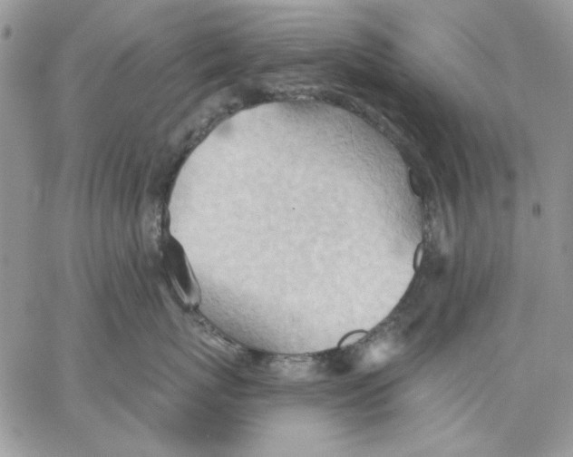 X0000062890767200602031807