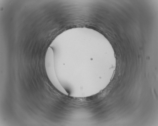 X0000062890768200602031807