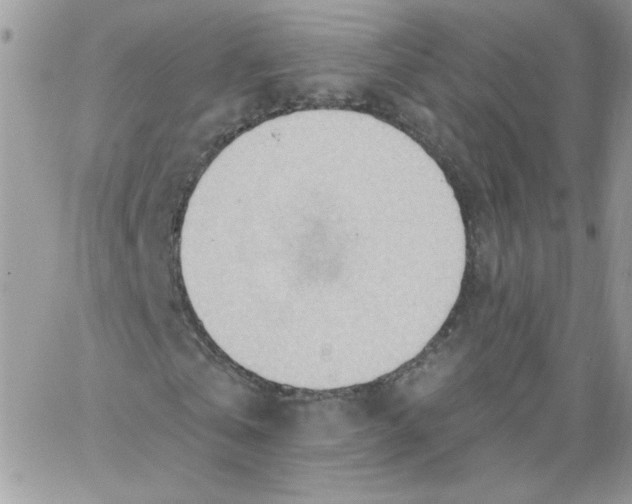 X0000062890769200602031806