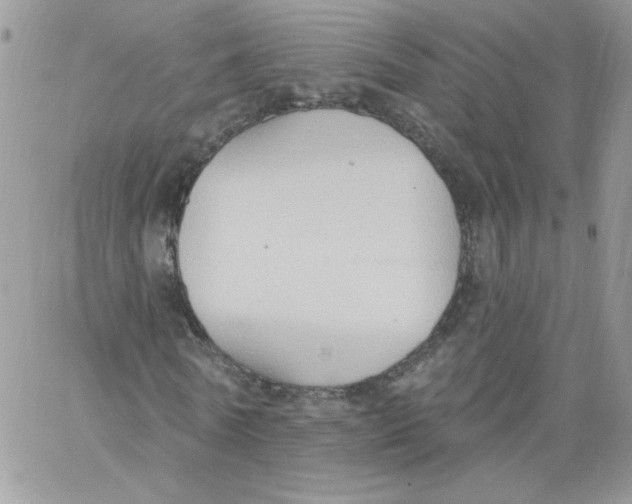 X0000062890770200602031806