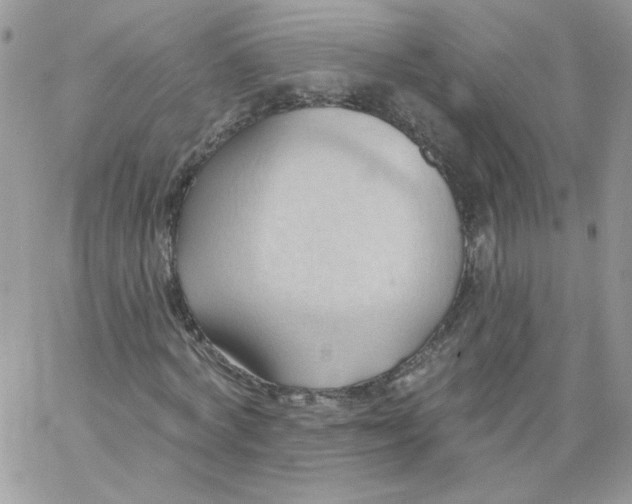 X0000062890772200602031806