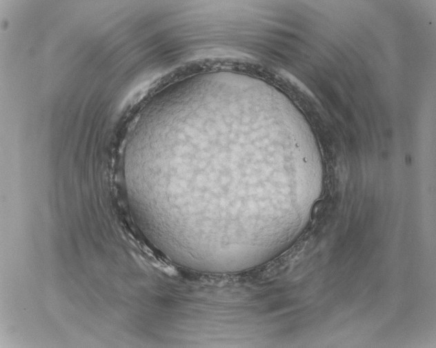 X0000062890775200602031806