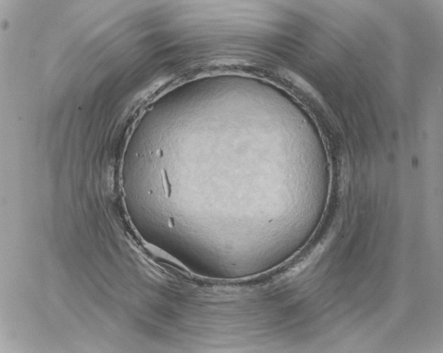 X0000062890777200602031806