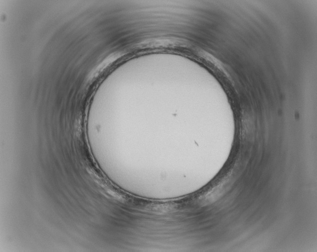 X0000062890778200602031806