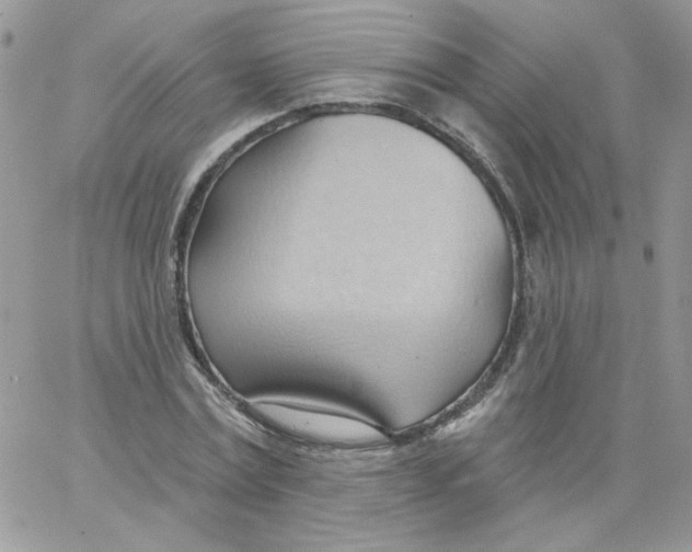 X0000062890779200602031806