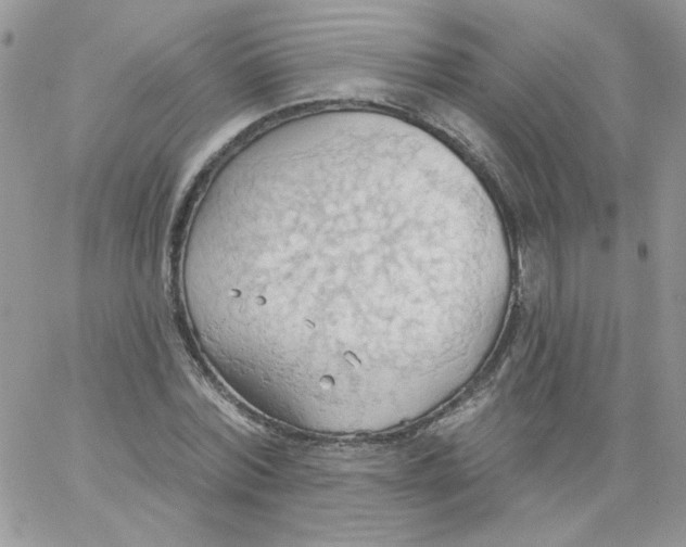 X0000062890780200602031806