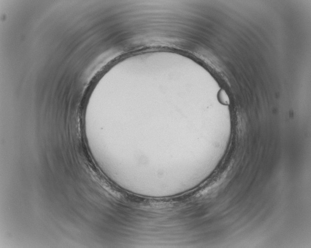 X0000062890782200602031806