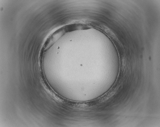 X0000062890784200602031806