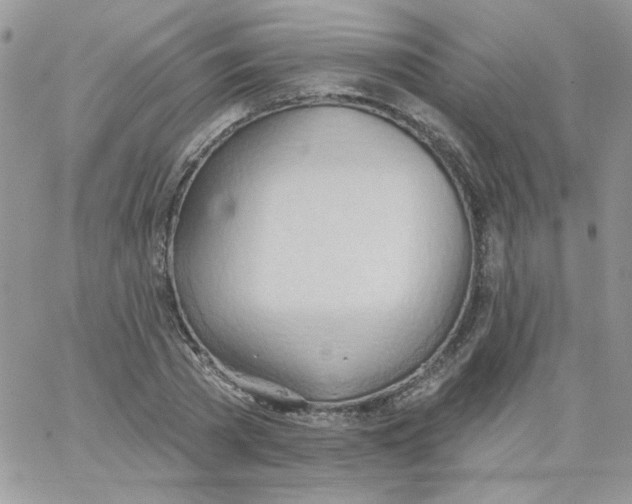 X0000062890785200602031806